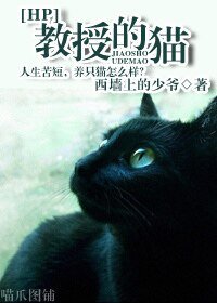 （HP同人）教授的猫